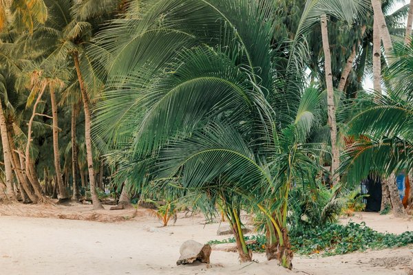 Comment découvrir les traditions de la pêche au homard en Nouvelle-Écosse, Canada?