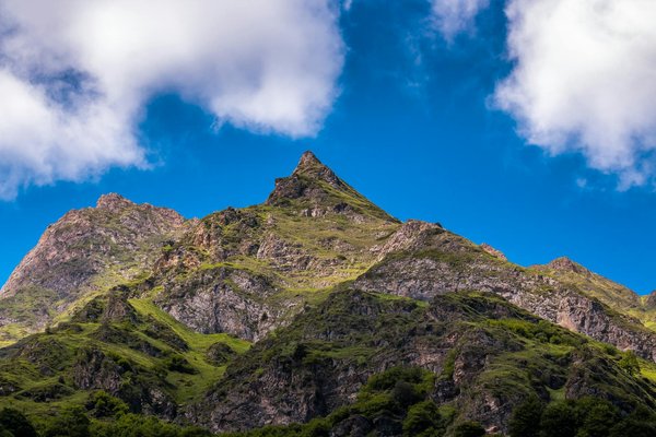 Peut-on trouver une location de vacances en Dordogne avec des ateliers de sculpture et des randonnées en forêt?