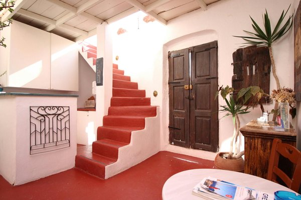 Comment organiser une expédition pour voir les éléphants au Botswana?