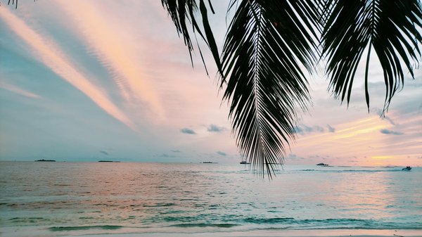 Où trouver des cours de cuisine mexicaine gratuits à Mexico?